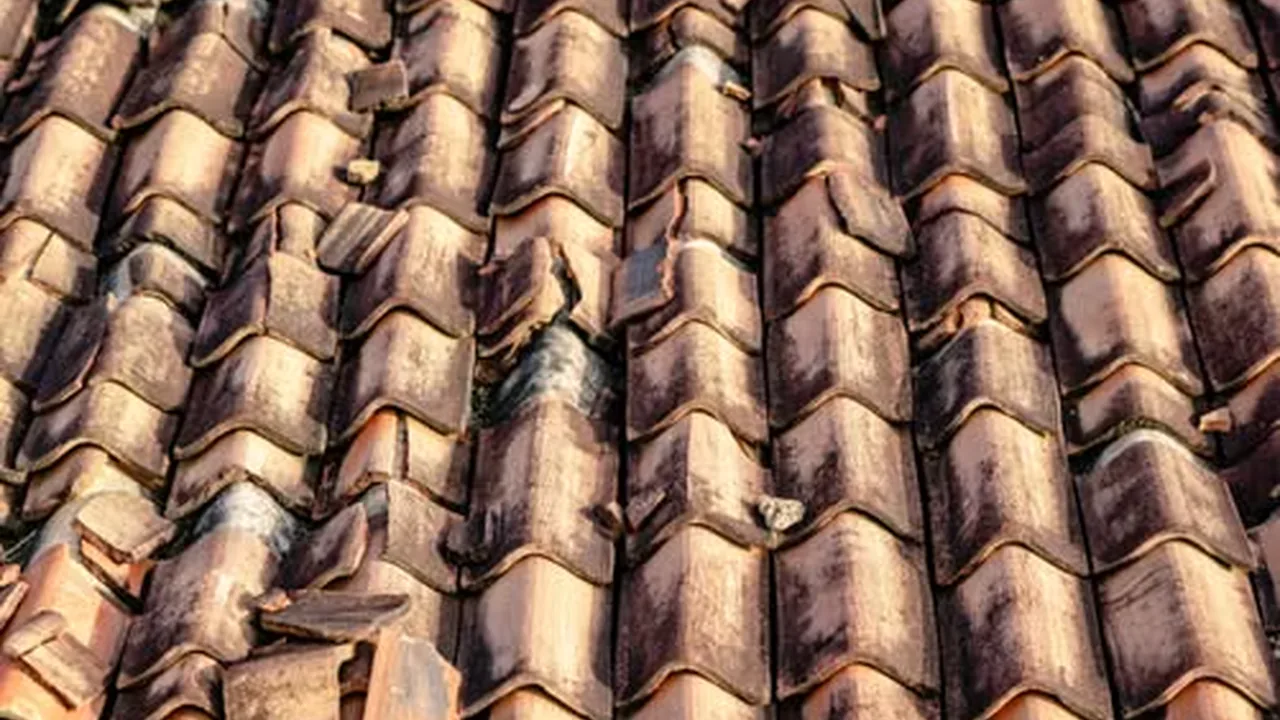 Close-up of hail-damaged roof shingles